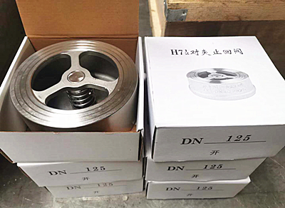 H7對夾式止回閥DN125圖